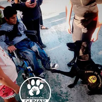 Fundación Gunar Perros de Asistencia