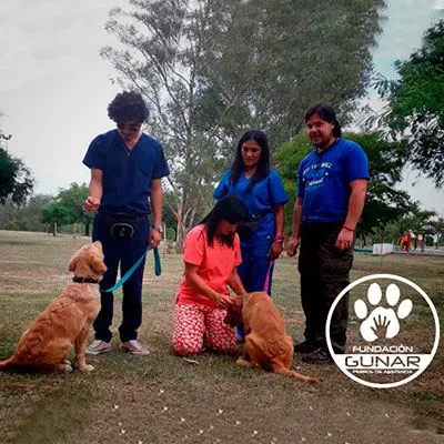 Fundación Gunar Perros de Asistencia