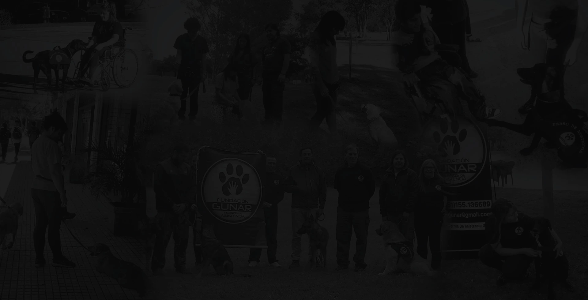 Fundación Gunar Perros de Asistencia